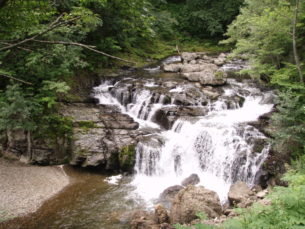 grace-field-canoe-fishing-touring