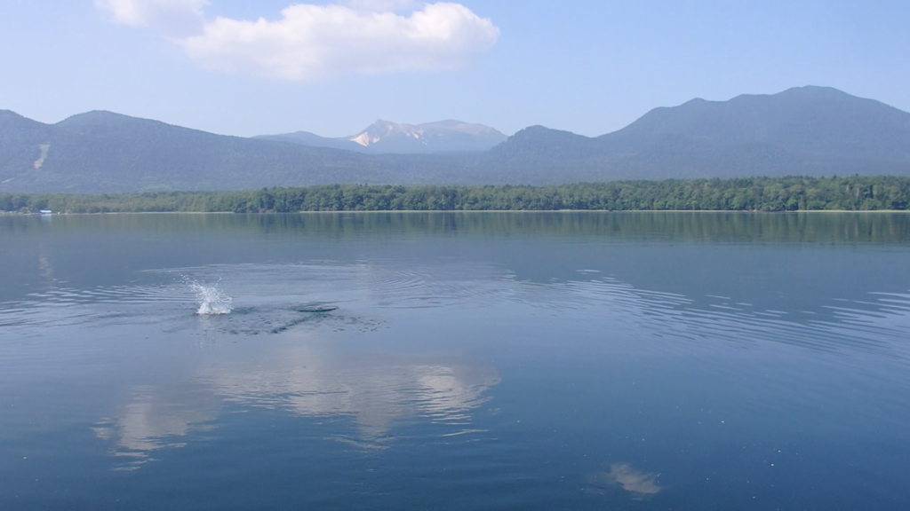 grace-field-canoe-fishing-touring